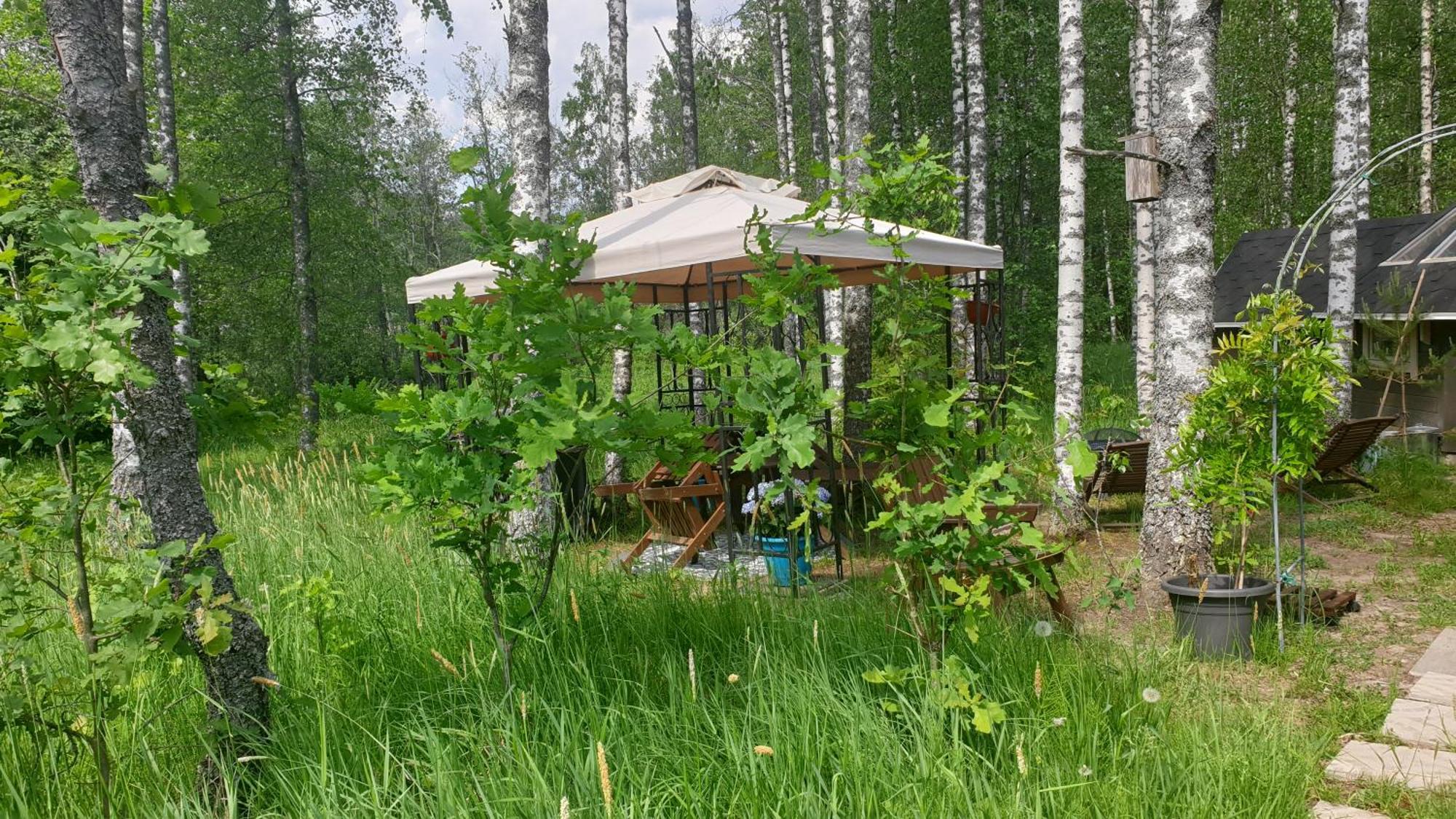 Troll House Eco-Cottage, Nuuksio For Nature Lovers, Petfriendly Espoo Zewnętrze zdjęcie